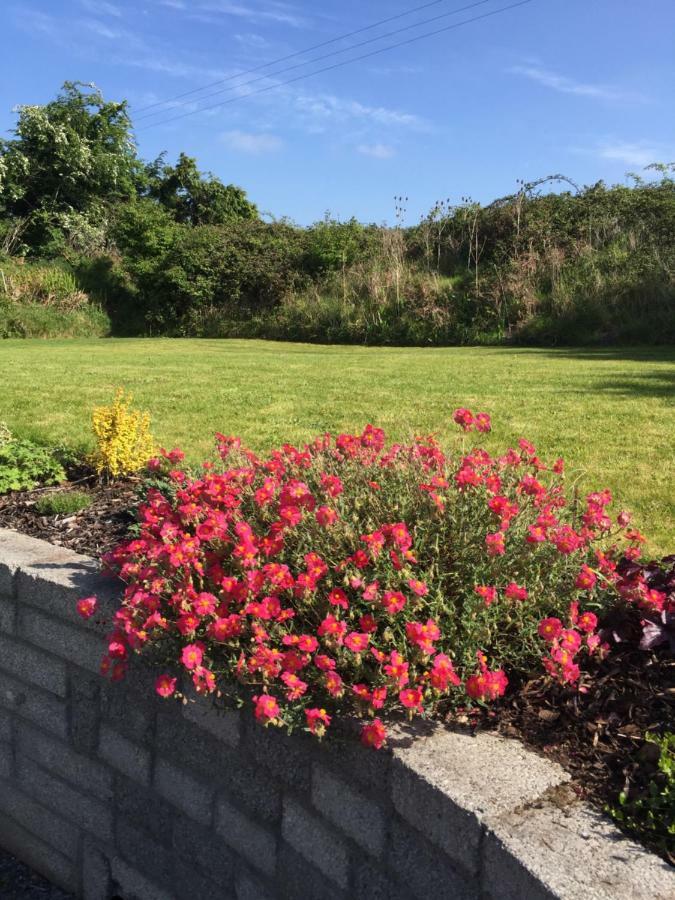 Viewmount Bed and Breakfast Thomastown  Buitenkant foto